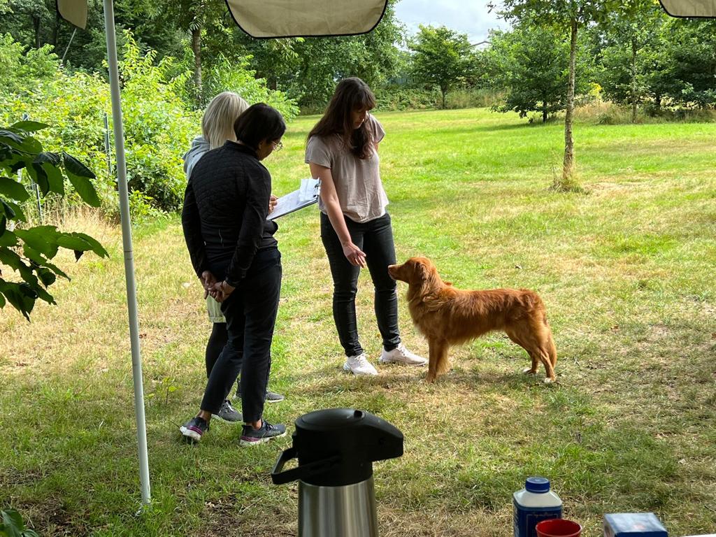 Formwert (FW) | Hamburg-Duvenstedt