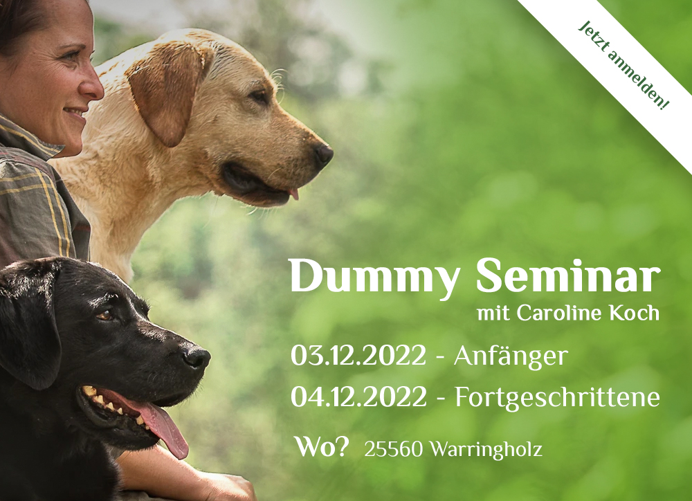 Dummy-Seminar mit Caroline Koch