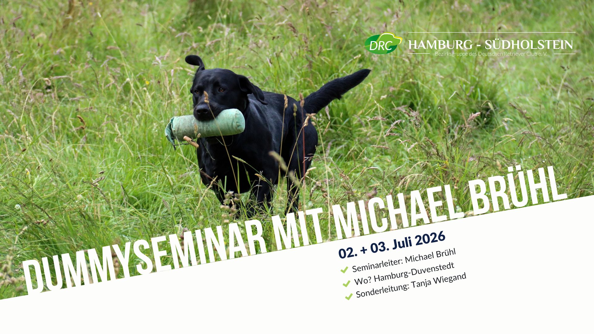Dummyseminar mit Michael Brühl